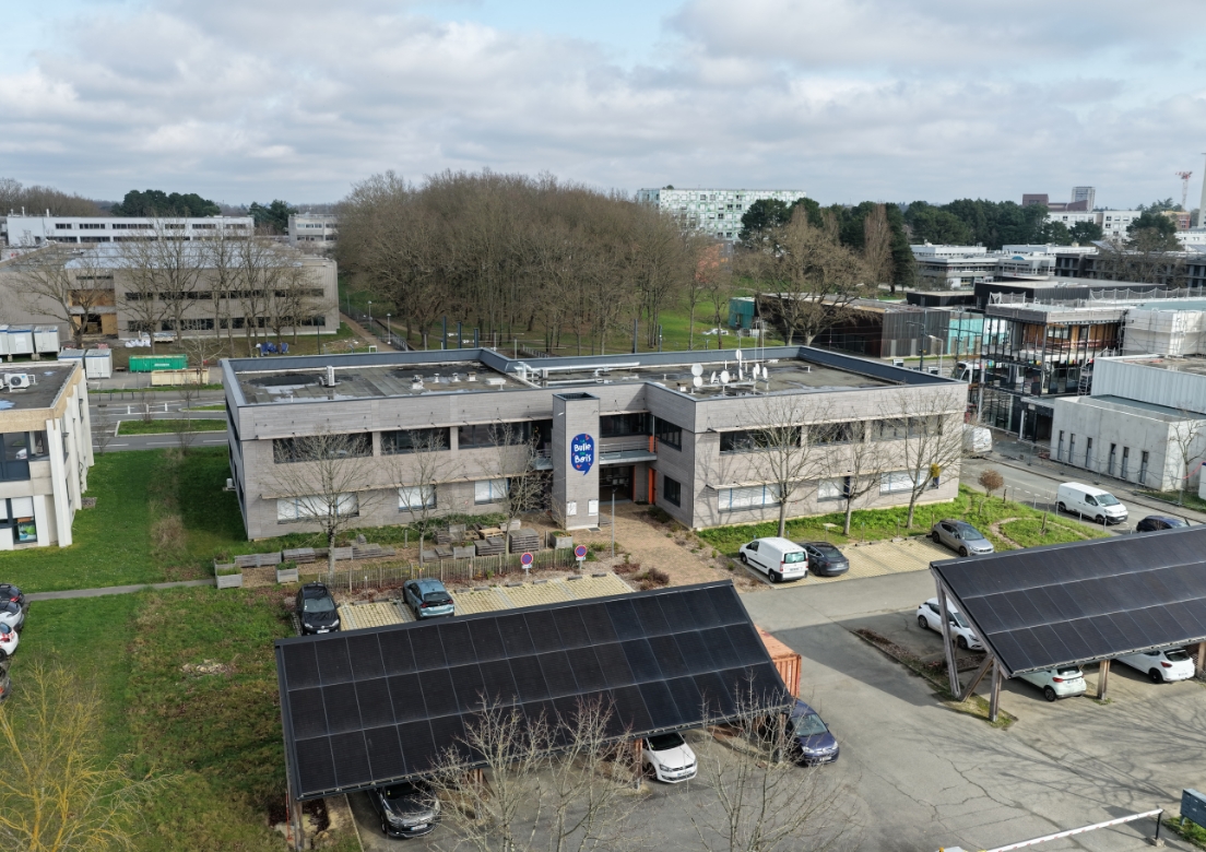 bulle en bois angers