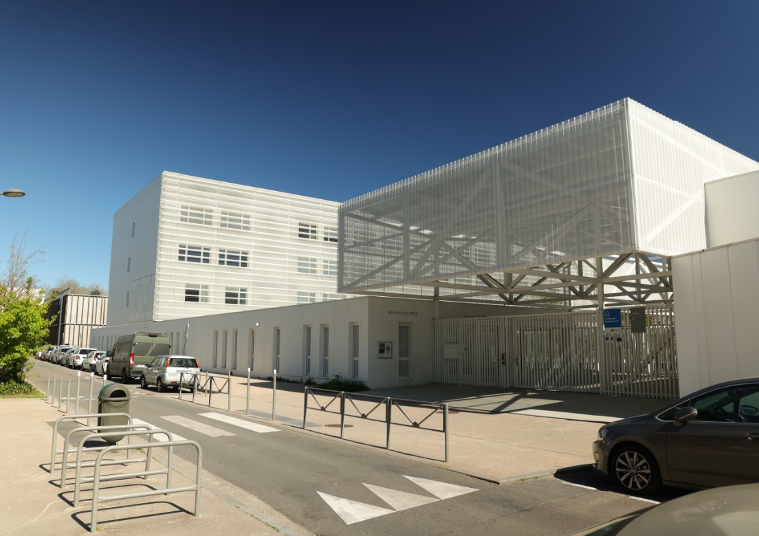 collège ginko bordeaux