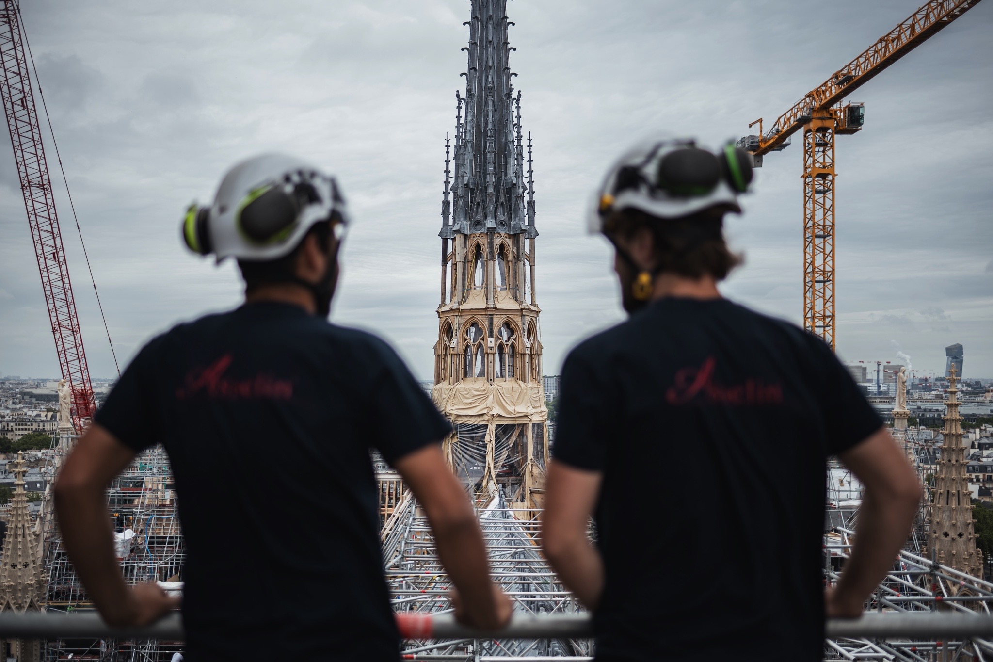 Asselin notre dame de paris